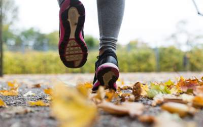 The Energy of Autumn: Why Cooler Air Makes You Stronger